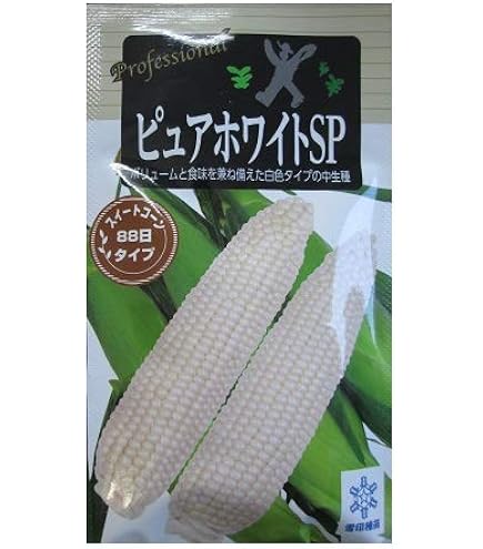 Amazon.co.jp: トウモロコシ 種子 スイートコーン おおもの83